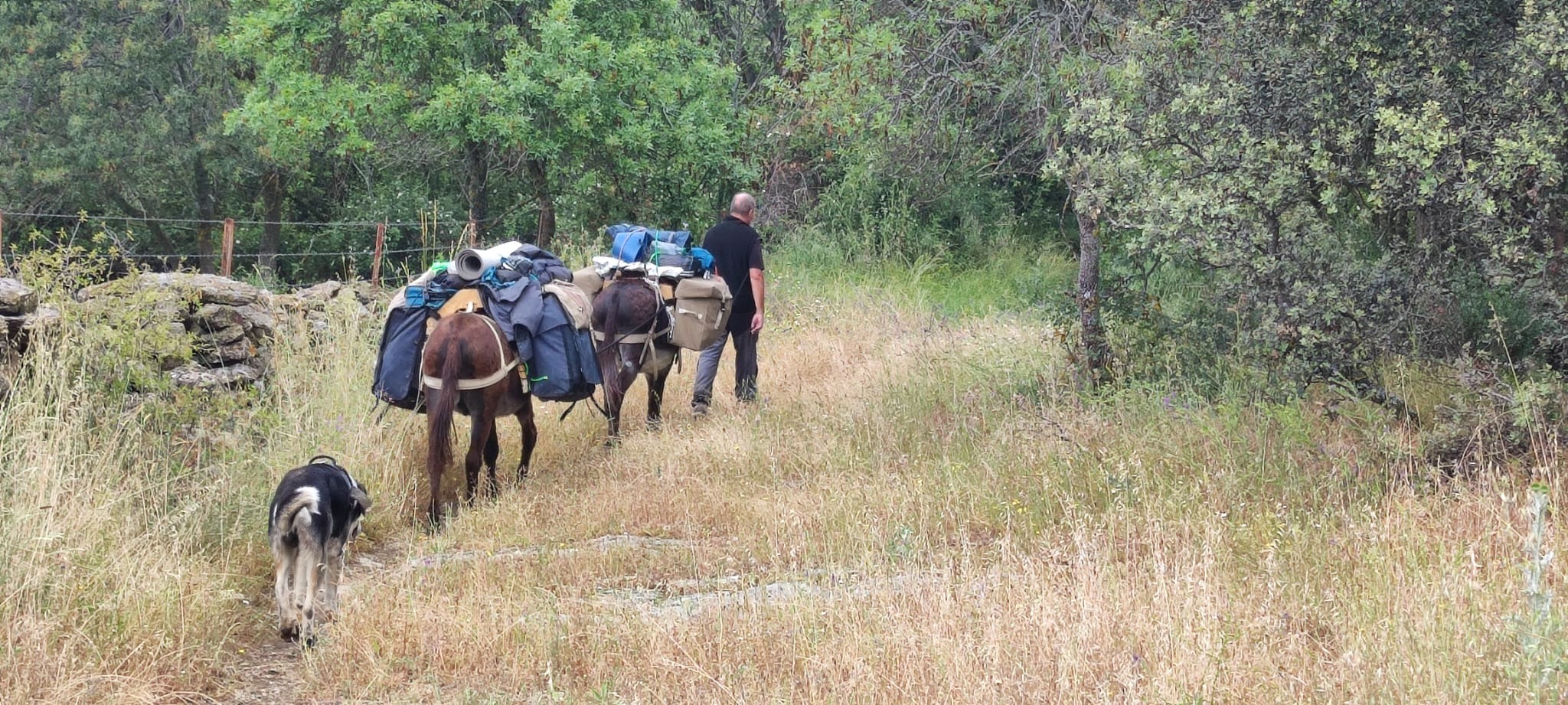 How much does a donkey ride in the mountains cost?