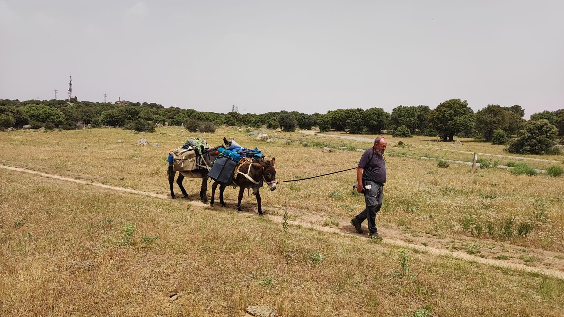 Donkey hiking tours with accommodation