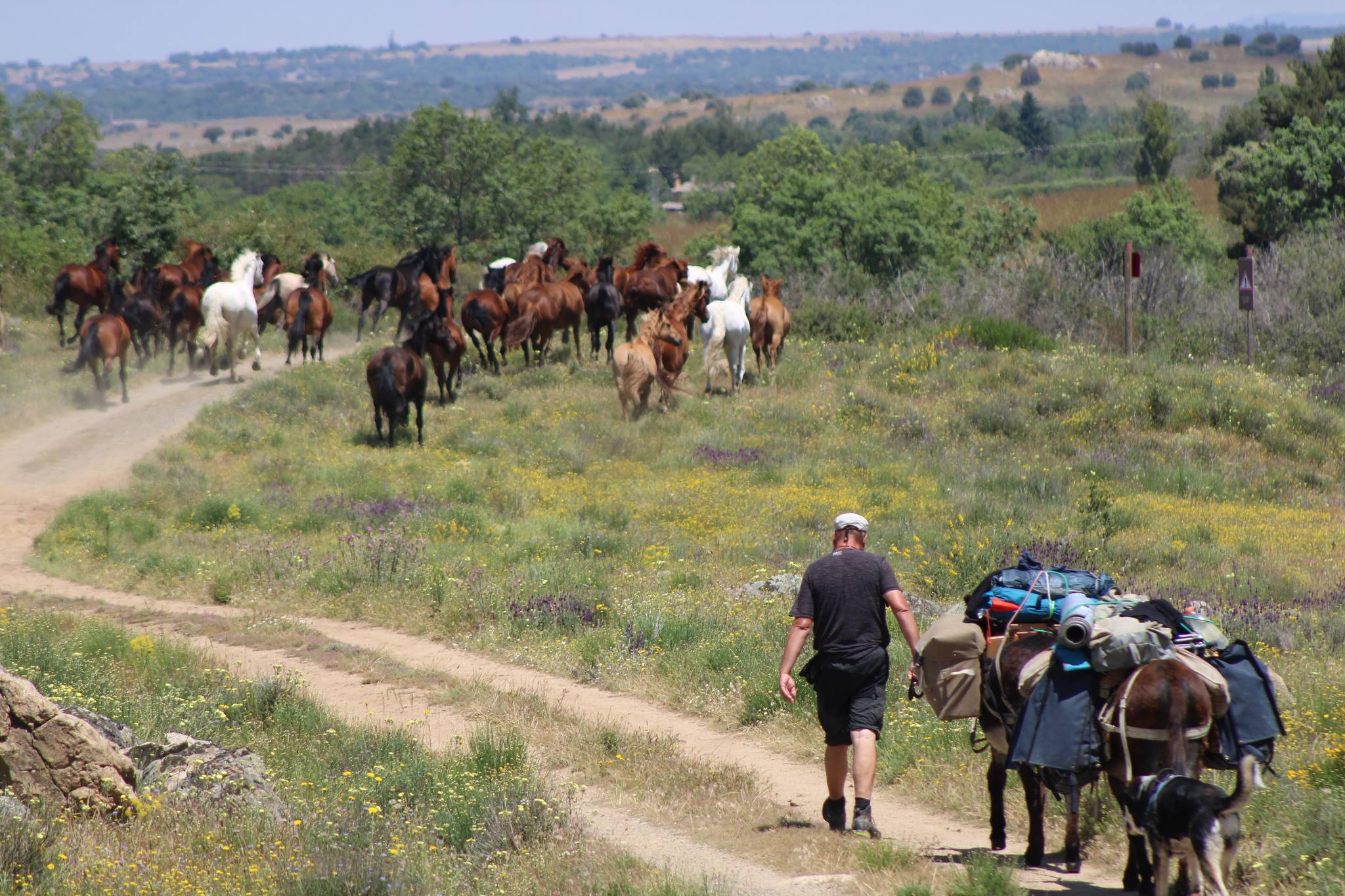 How much does a donkey ride in the mountains cost?