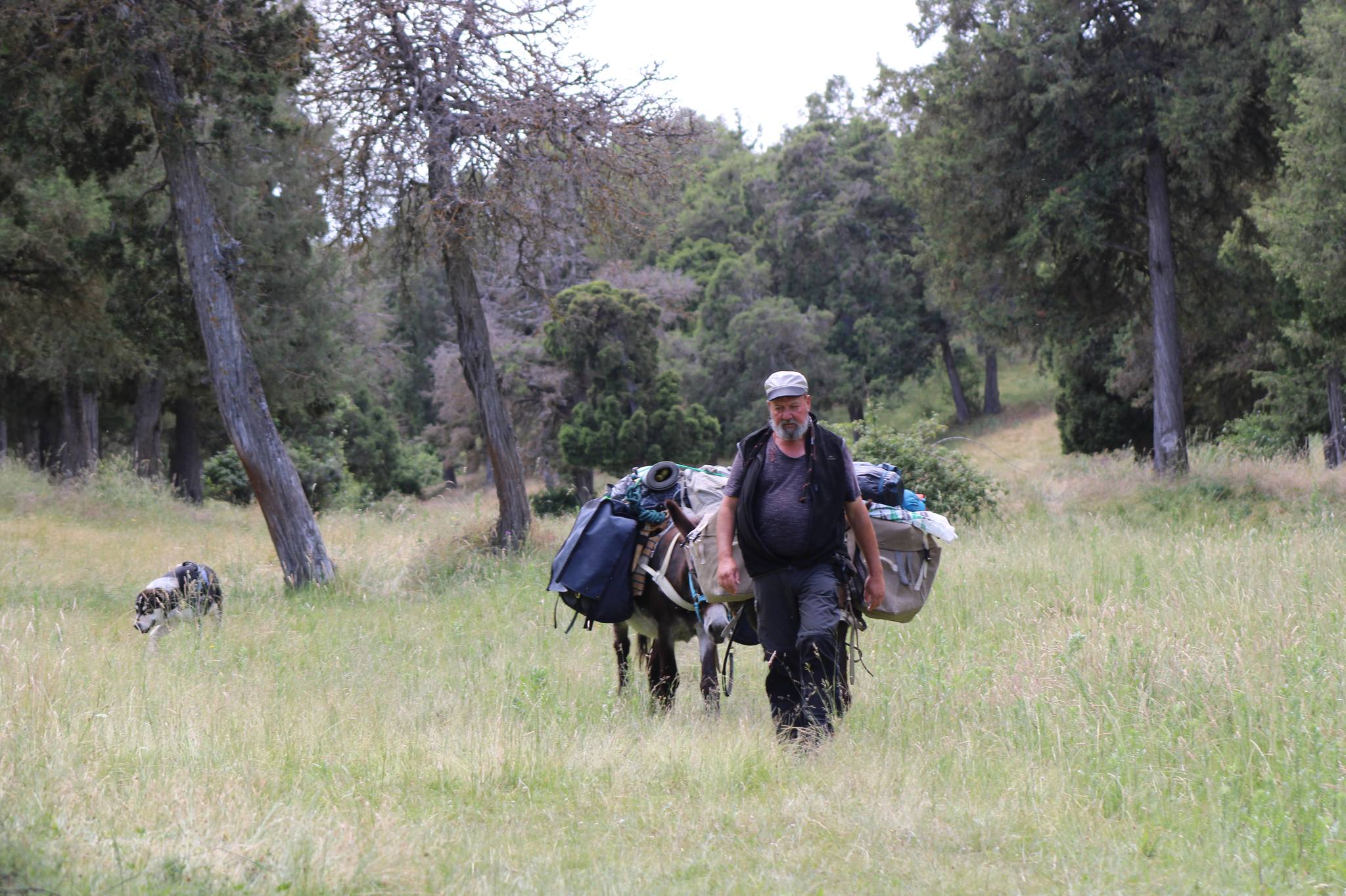 Donkey hiking tours with accommodation