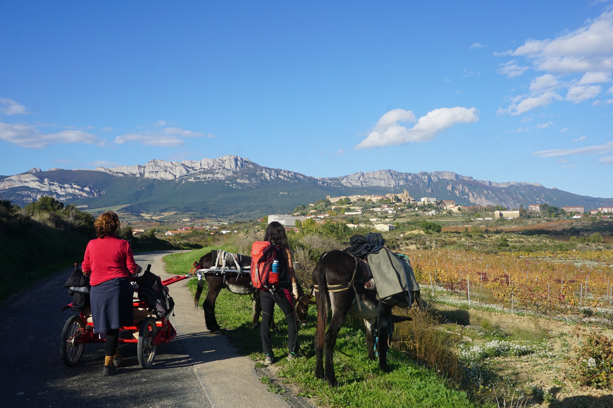Donkey Riding Day Trips