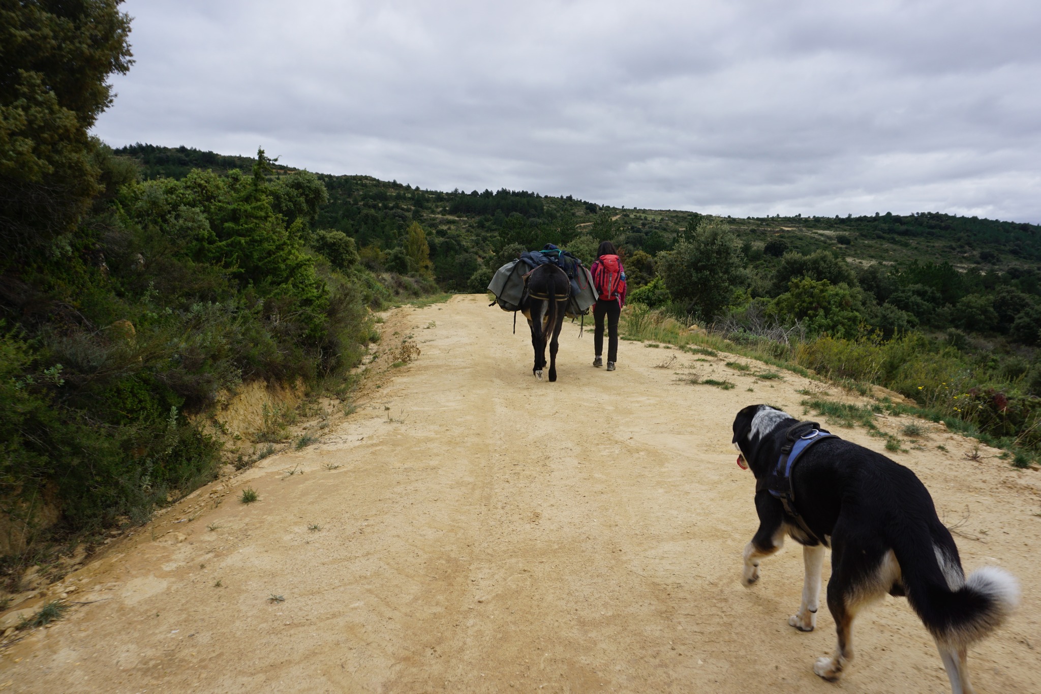 Donkey Riding Day Trips