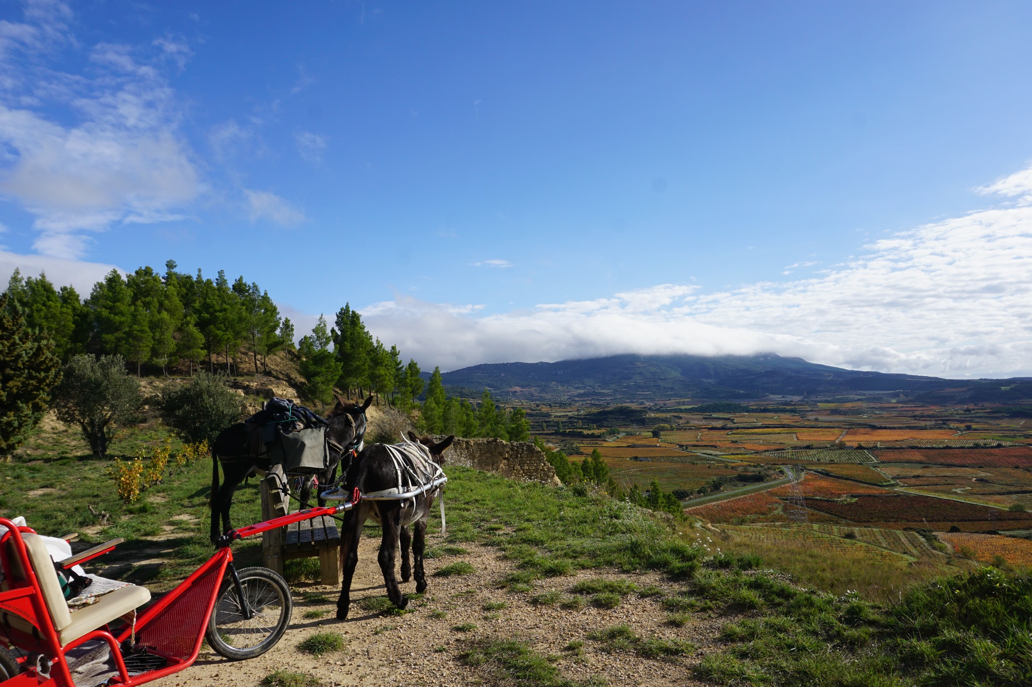 Donkey hiking tours with accommodation