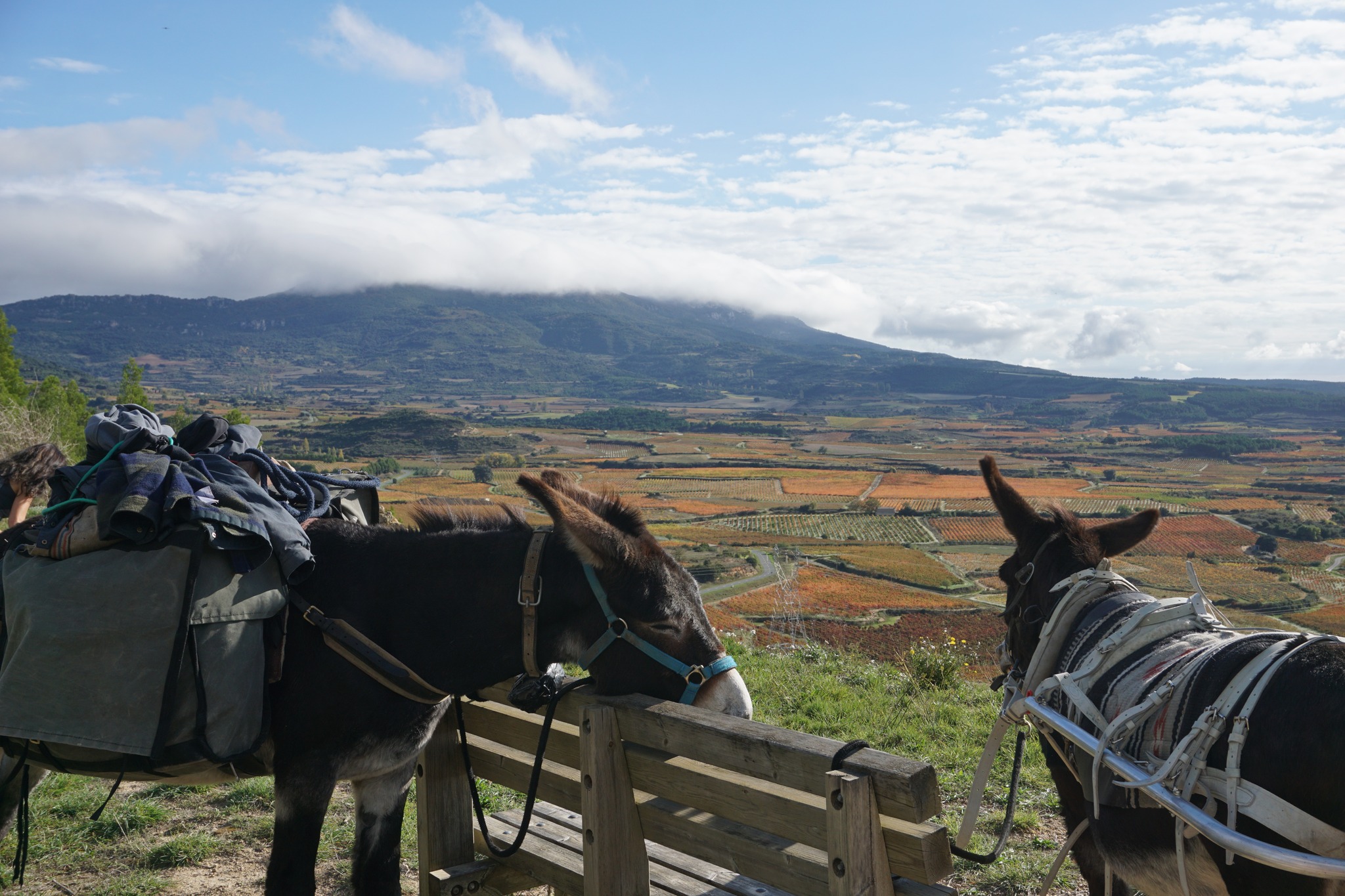 Where can you ride a donkey in Spain?